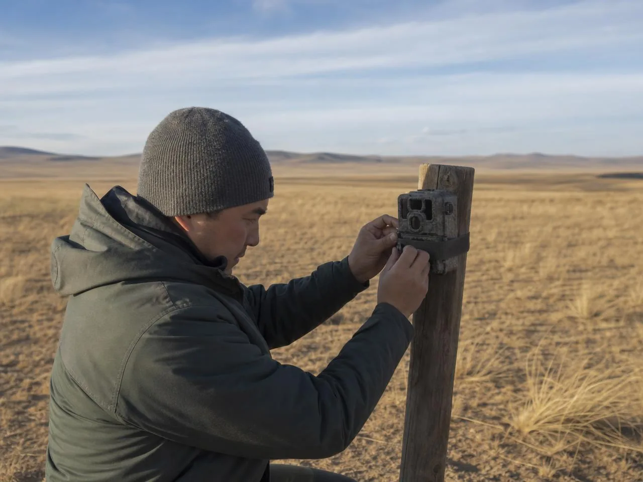 A researcher setting up monitoring equipment on the steppe