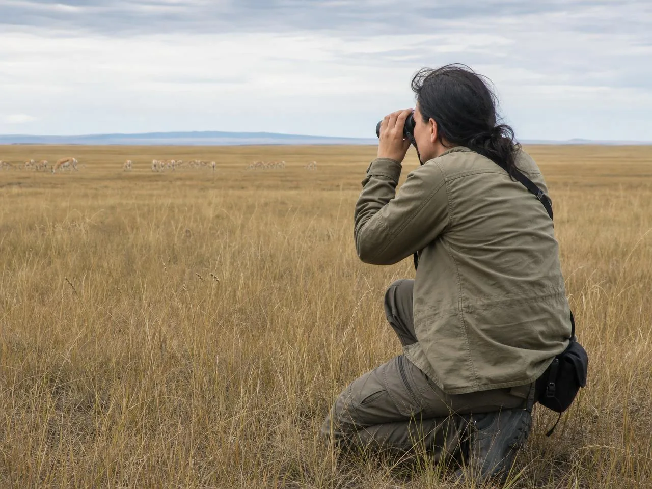 An SCA field researcher observing saiga through binoculars on the steppe