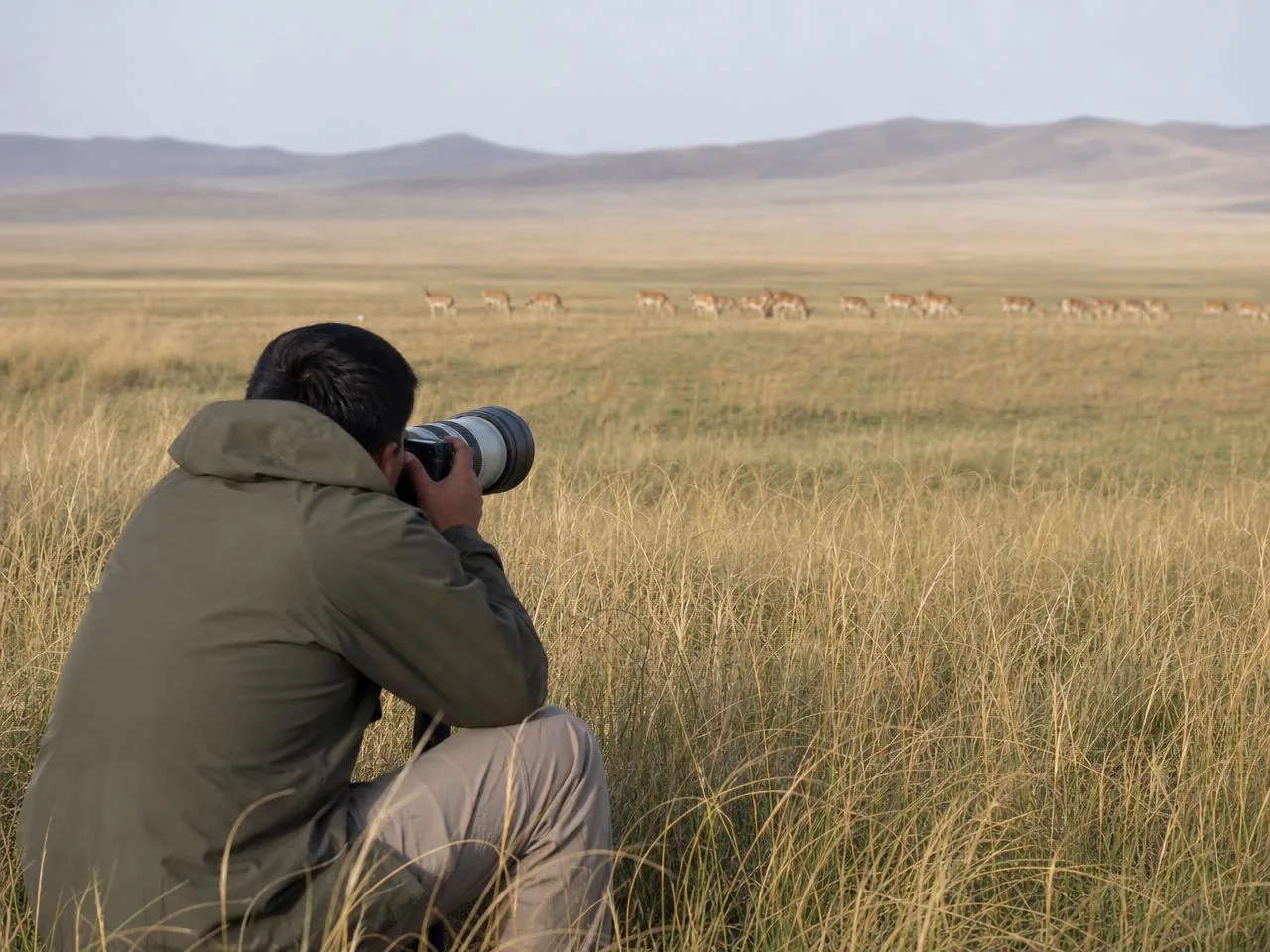 A researcher photographing a distant saiga herd