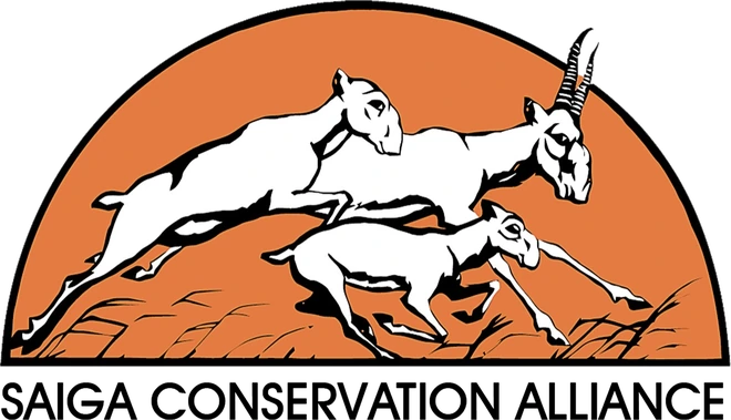 Saiga Conservation Alliance